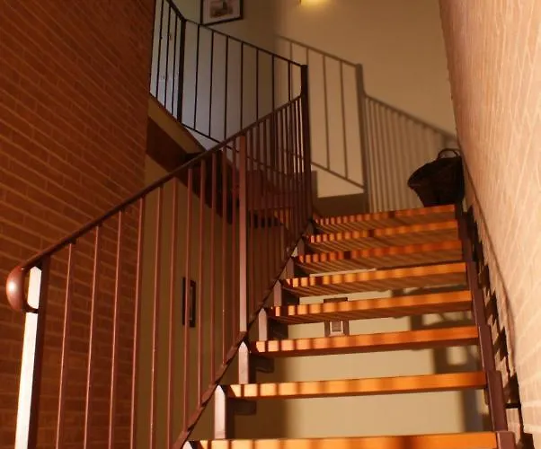 Morgana * אסיסי