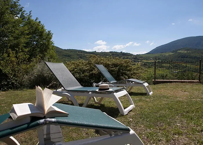 Morgana * אסיסי